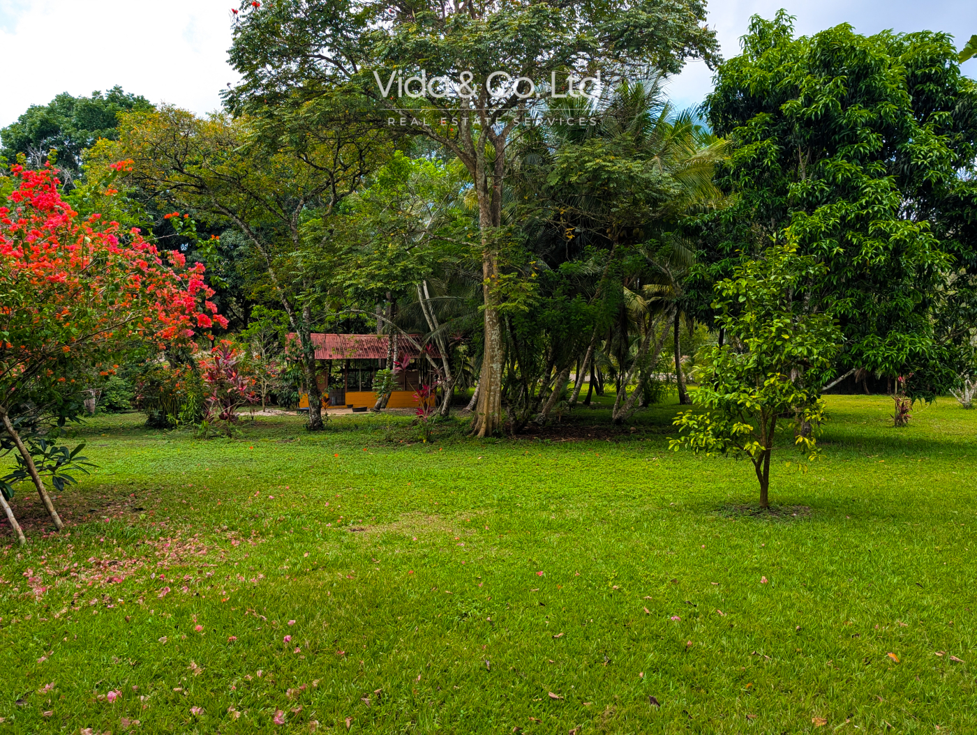 Land & Lots